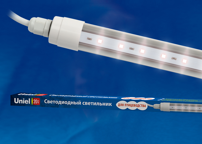Светодиодный светильник для птицеводства Uniel ULY-P61-20W/SCEP/K IP65 DC24V WHITE с гарантией 2 года
